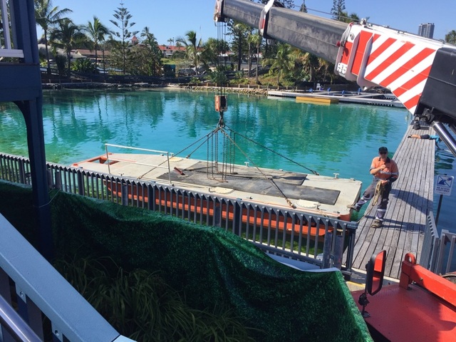SeaWorld - IBB  placed in the pool.jpg
